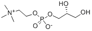 choline Alfoscerate （α-GPC）50%  Granule